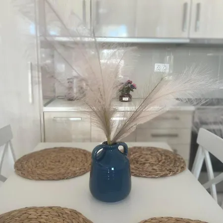 Apartman Nesea